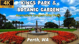 Kings Park & Botanic Garden Perth, Western Australia | Walking Tour [4k]