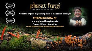 NOW STREAMING - PLANET FUNGI north east India