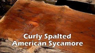 Spalted American Sycamore