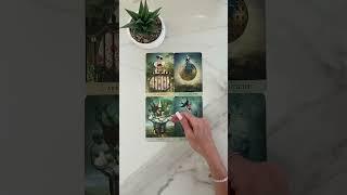 This message should find you now! #shorts #tarot #oracle #cardreading #message