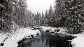 РЫБАЛКА/ТАЙГА/ПРИКЛЮЧЕНИЯ/ДУШЕВНЫЙ ОТДЫХ