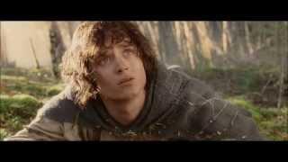 LOTR The Return of the King - Shelob's Lair Part 3