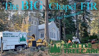 PART 2!!! Brushing out the BIG Chapel Fir! 160ft Tall Tree Removal with Seattle Tree Care!