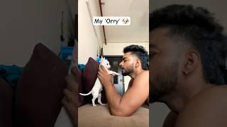 Mere Pyaare 'Orry' Ke Sath Baatcheet ️ #shorts #dog #pets #sudhirsingh