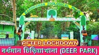 বর্ধমান চিড়িয়াখানা || Burdwan Zoological Park || Deer Park || Bardhaman