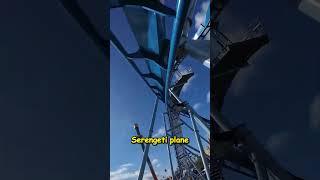 Soaring High on Phoenix Rising!  | Busch Gardens Tampa Bay POV