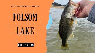 Folsom Lake Storm Chasers: Battling the Wind and Rain for a Bite (Late Winter/Early Spring 2025)