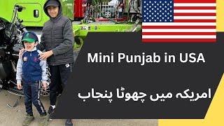 Visiting mini punjab in USA - امریکہ میں چھوٹا پنجاب  (Punjabies in USA)