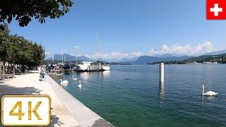 Lake walk in Lucerne, Switzerland | Summer 2021【4K】