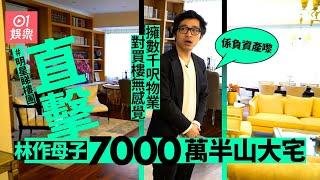 睇樓團│直擊林作7000萬大宅　揭阿媽全屋傢俬係20萬淘寶貨:成櫃假書