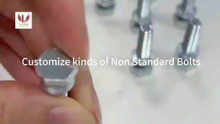 Customize Kinds of Non-standard Bolts