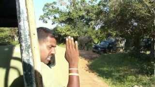 Elephant attacks in Yala National Park, Sri Lanka