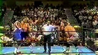 SN 6/8/96 Steiners vs Fire & Ice