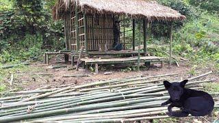 Poor boy must learn to do everything - bamboo house walls - sick dog disappears