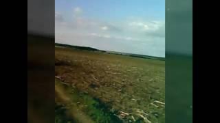 Тухлые яйца, смотреть всем