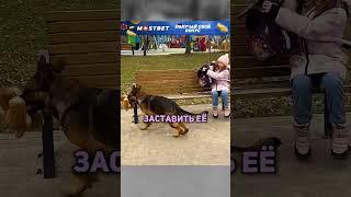 ️ Пёс-герой: спасение щенка из мусорного контейнера! #творидобро