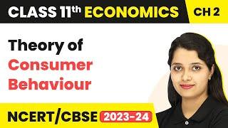 Consumer Behaviour - Theory of Consumer Behaviour | Class 11 Economics