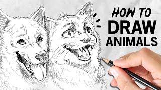 How to draw ANIMALS | Drawing Tutorial | Drawlikeasir