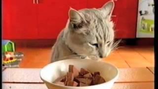 Chub cat food ad