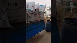MASTER AGRO FEED  M10 | B10 | B12  #faitning | milking #best #feed . 03171067326 .#master