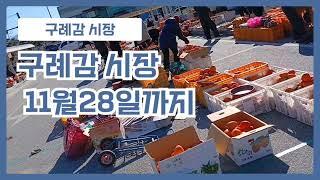 구례장날 은 감이 주차장에 가득