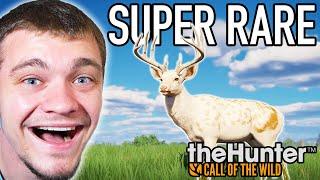 Hunting Down an EXTREMELY RARE Whitetail Deer!