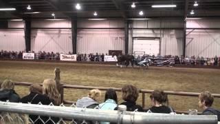 Mane Event Expo Red Deer 2012 - Standardbreds demo at Equine Experience