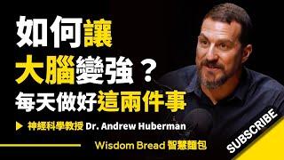 如何讓大腦變強？► 每天做好這兩件事  - Dr. Andrew Huberman 安德魯．胡伯曼博士（中英字幕）