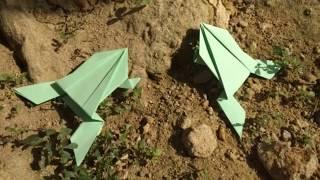 Cara mudah membuat kodok dari kertas by tekno kreatif/ paper frog origami DIY