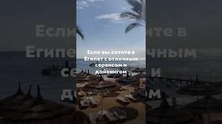 египет2025 #дайвингвегипте #кораловыйриф #лучшийсервис #отелиегипта2025 #дизайнинтерьера