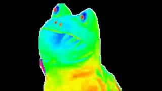 Mlg Rainbow Frog