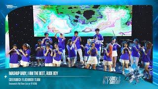 9 - Mashup Baby, I Am The Best, Rude Boy - Greenwich Flashmob Team
