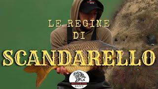 Carpfishing 2022 Scandarello: Monster Fish Baits,Cristian Rosignoli Lago Di Scandarello!