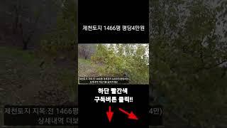 평당4만원에 땅사세요~ 제천토지 땅 입니다 #shorts