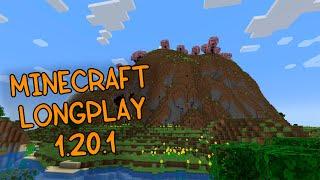 Minecraft Longplay #1 - survival at minimum (No comments)