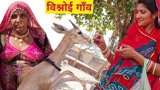 [547] जाम्भोजी का गाँव  Mukti dham Mukam bishnoi Hindu Culture | Rajasthani ganv Bikaner Nagaur