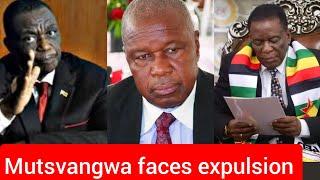 Chris Mutsvangwa faces expulsion as Zanu PF spokesperson after being accused of working against ED