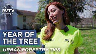 Celebrating the Year of the Tree (Tree Steward Urban Forestry Tips)