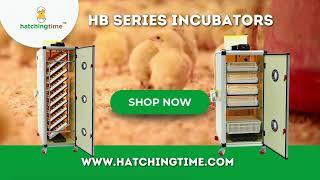 Upgrade to Pro Commercial Incubators - HB Series