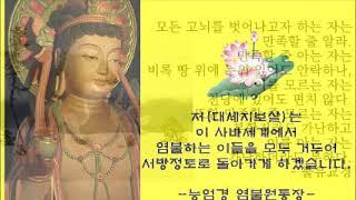 보고 듣고 따라하기만 해도 안심을 얻는 나무아미타불 염불명상(2시간)