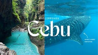 4D3N in Cebu, Philippines | Oslob Whale Shark Watching, Badian Canyoneering, City Tour