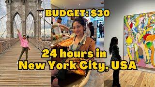 24 hours in NYC for $30 - Central Park, Museum, China Town & New York City Streets | Travel VLOG