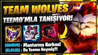 Team Wolves Ekibi EXEF TEEMO'SU İle Tanışıyor