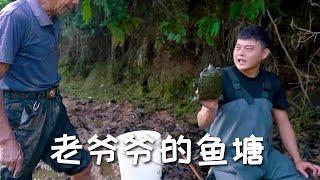 【戶外捕魚vlog】包下70多歲老爺爺養在大山裏的魚塘，沒想到爺爺抓魚這麽厲害！#三農#戶外