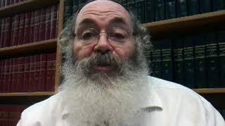 Or HaChaim Hakadosh- Intro