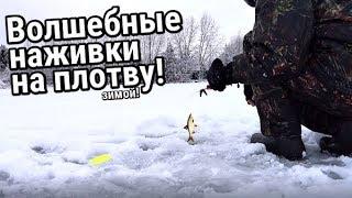 ТОП 5 уловистых насадок на плотву зимой! На что лучше всего клюет плотва зимой?