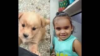 very cute videos#like ##ankurkumar 
