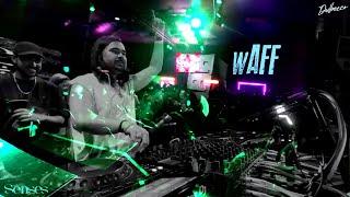 wAFF at SENSES, San José, Costa Rica, Dec 2023 - Shot by Dulbecco | FREE SHOTS #43