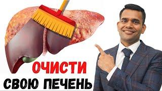 Лучшие Травы Для Очистки Вашей Печени