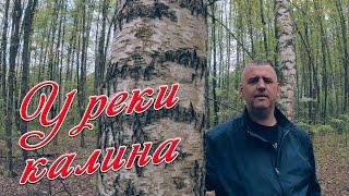 Сергей Одинцов - У реки калина